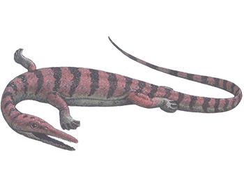 Аскептозавр
