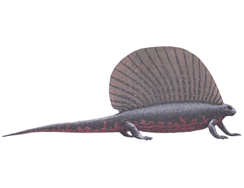 Едафозавр