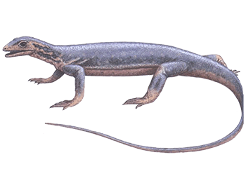 Петролакозавр
